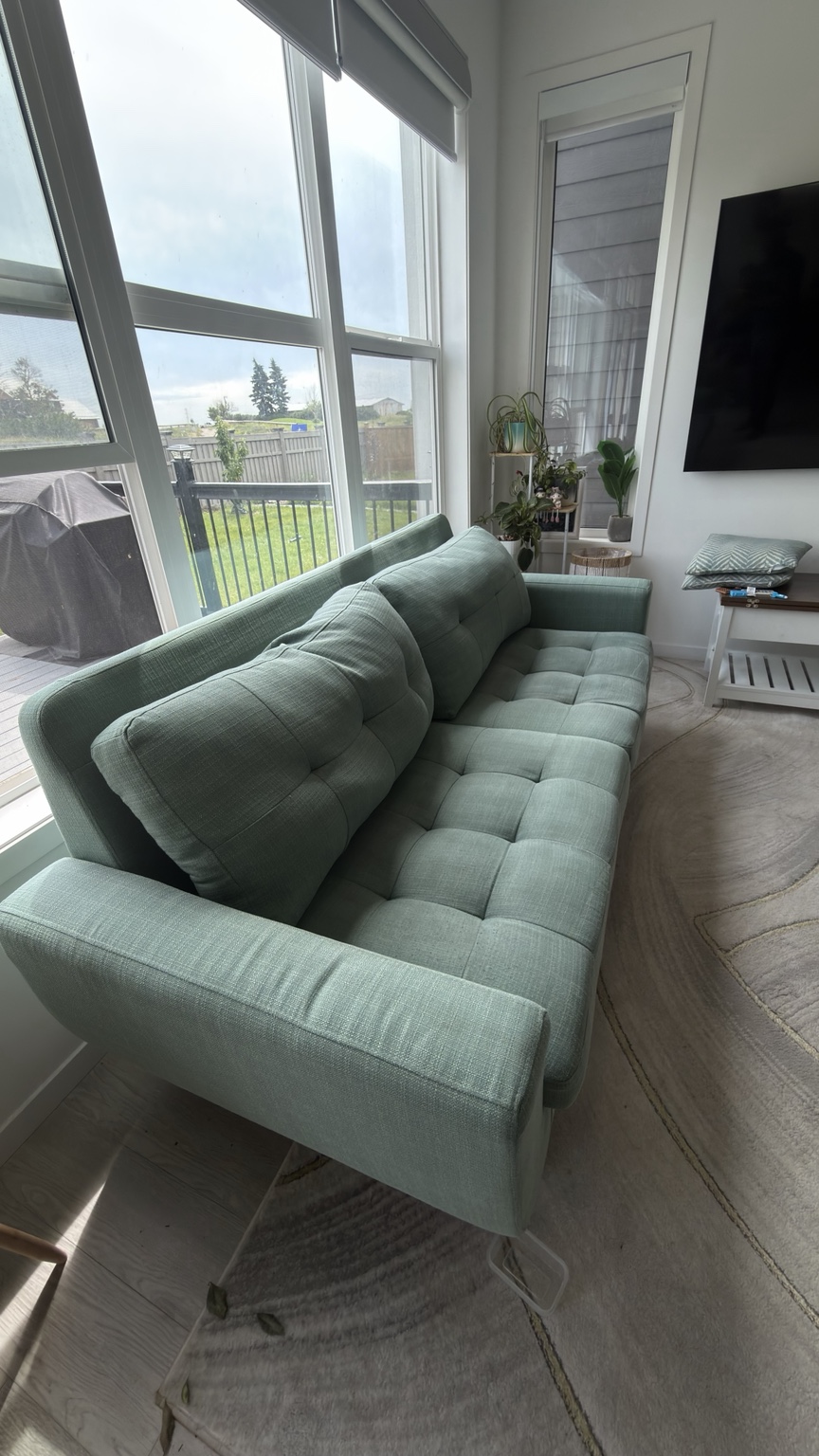 Green sofa cleaning after