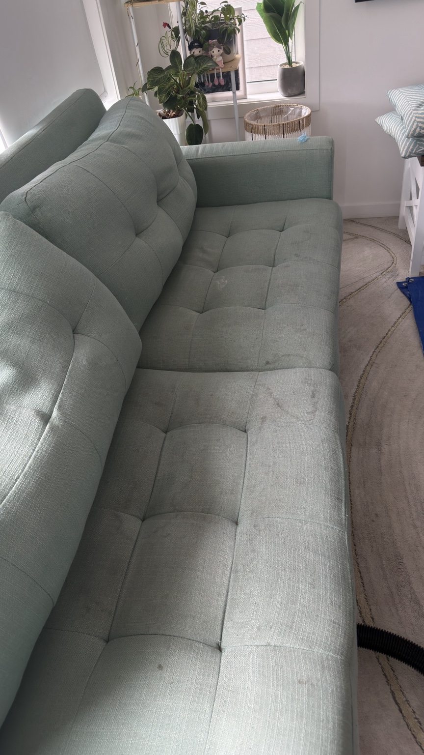 Green sofa cleaning before